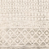 Sample Valyermo Beige Hand Woven Area Rug