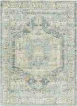 Vaeda Blue Medallion Runner Rug