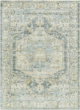 Sample Vaeda Blue Medallion Area Rug