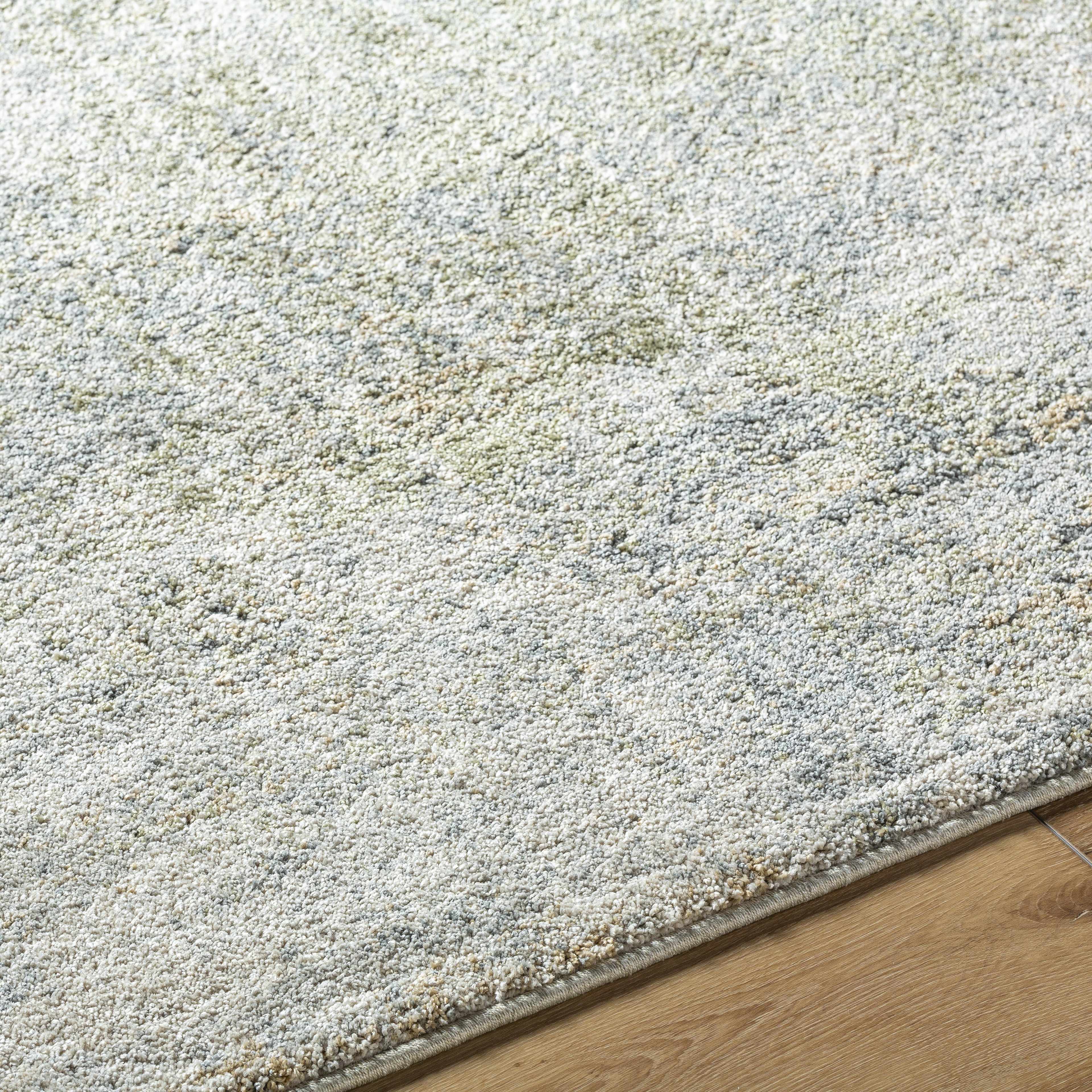 Zetna Area Rug