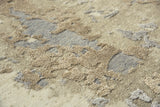 Rizzy ARY102 Runner Rug Area Rug