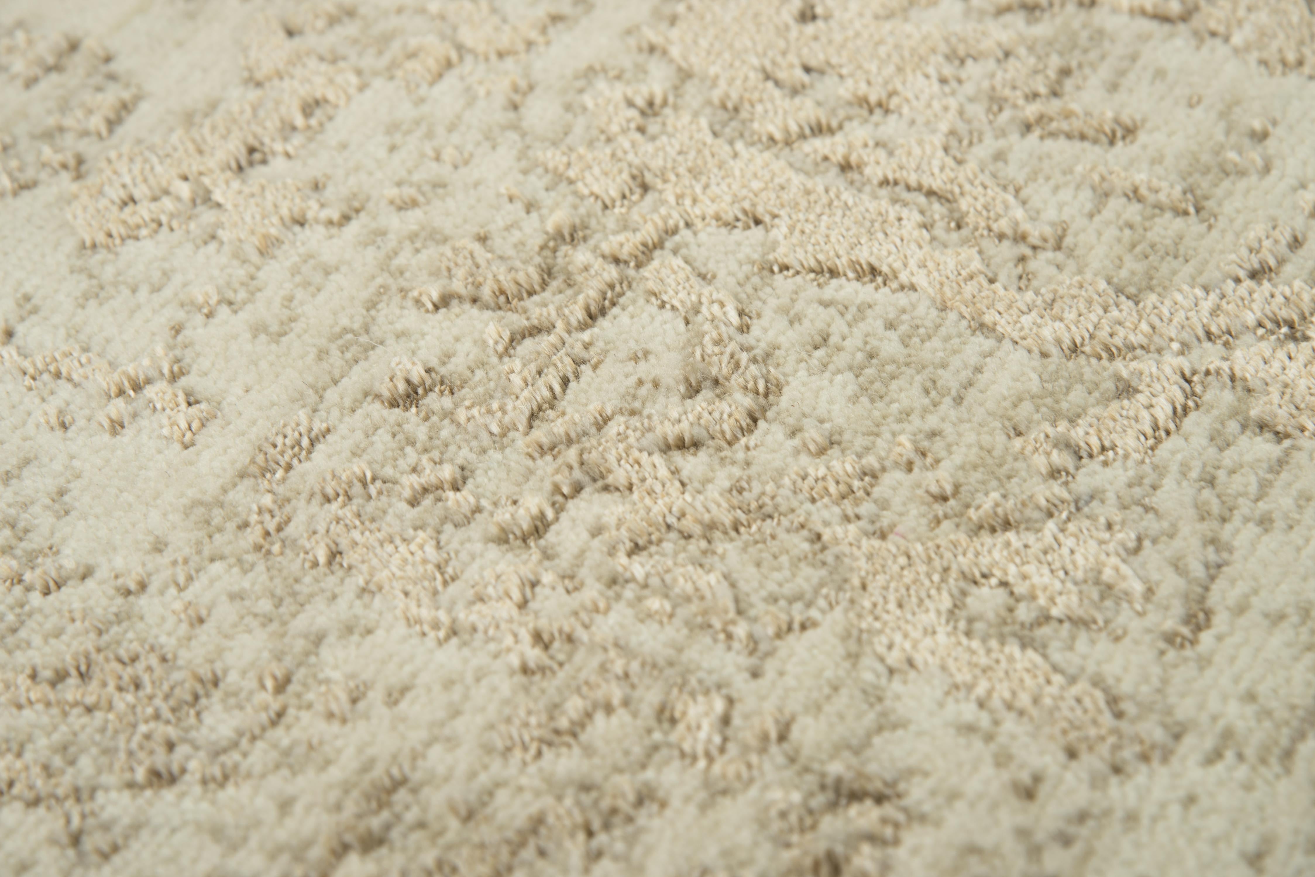 Rizzy ARY104 Runner Rug Area Rug