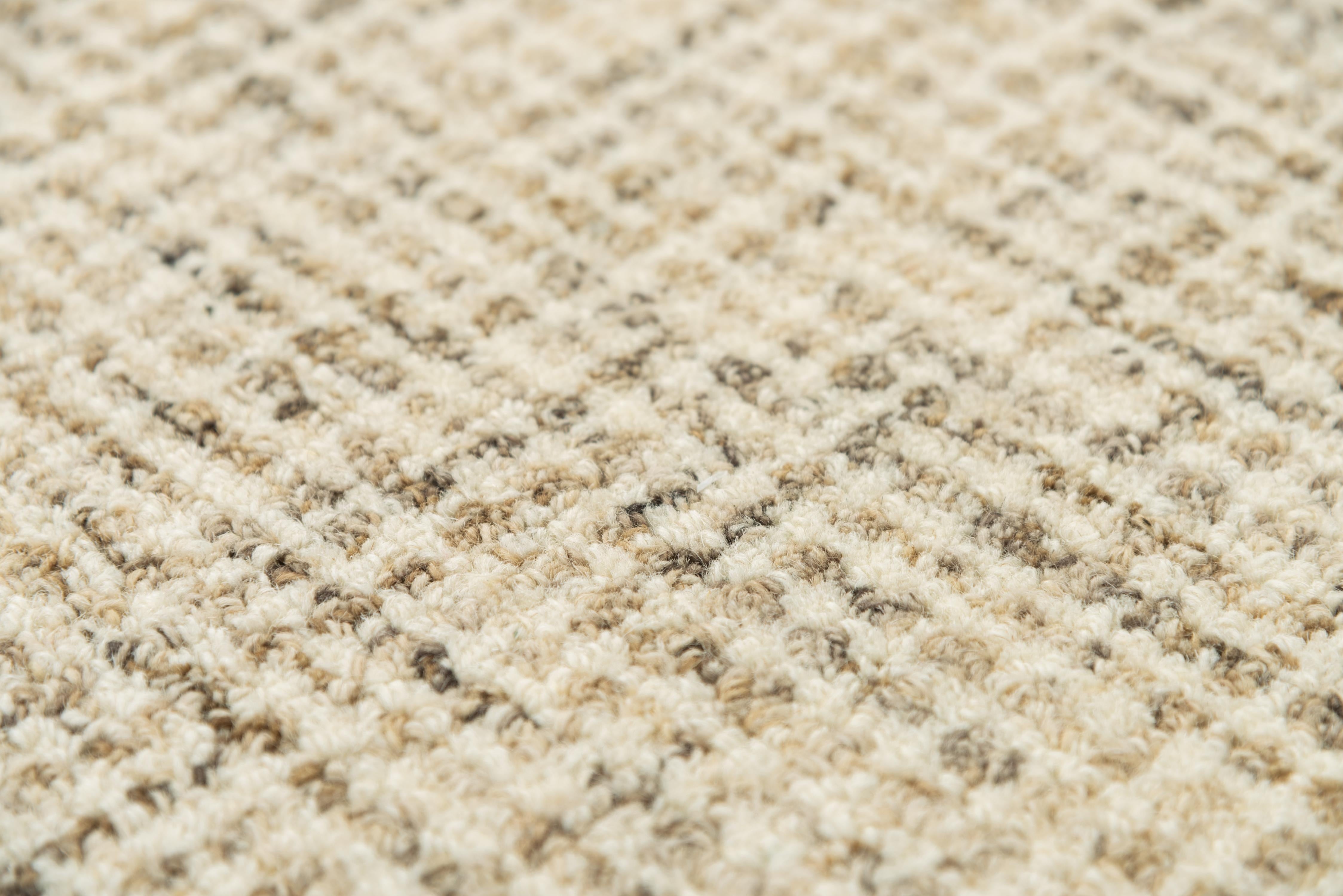Rizzy BR858A Runner Rug Area Rug
