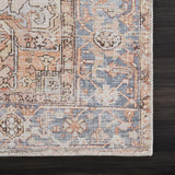 Sample Rust Eira Distressed Vintage Washable Area Rug