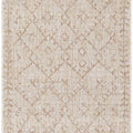 Ewarton Indoor & Outdoor Rug