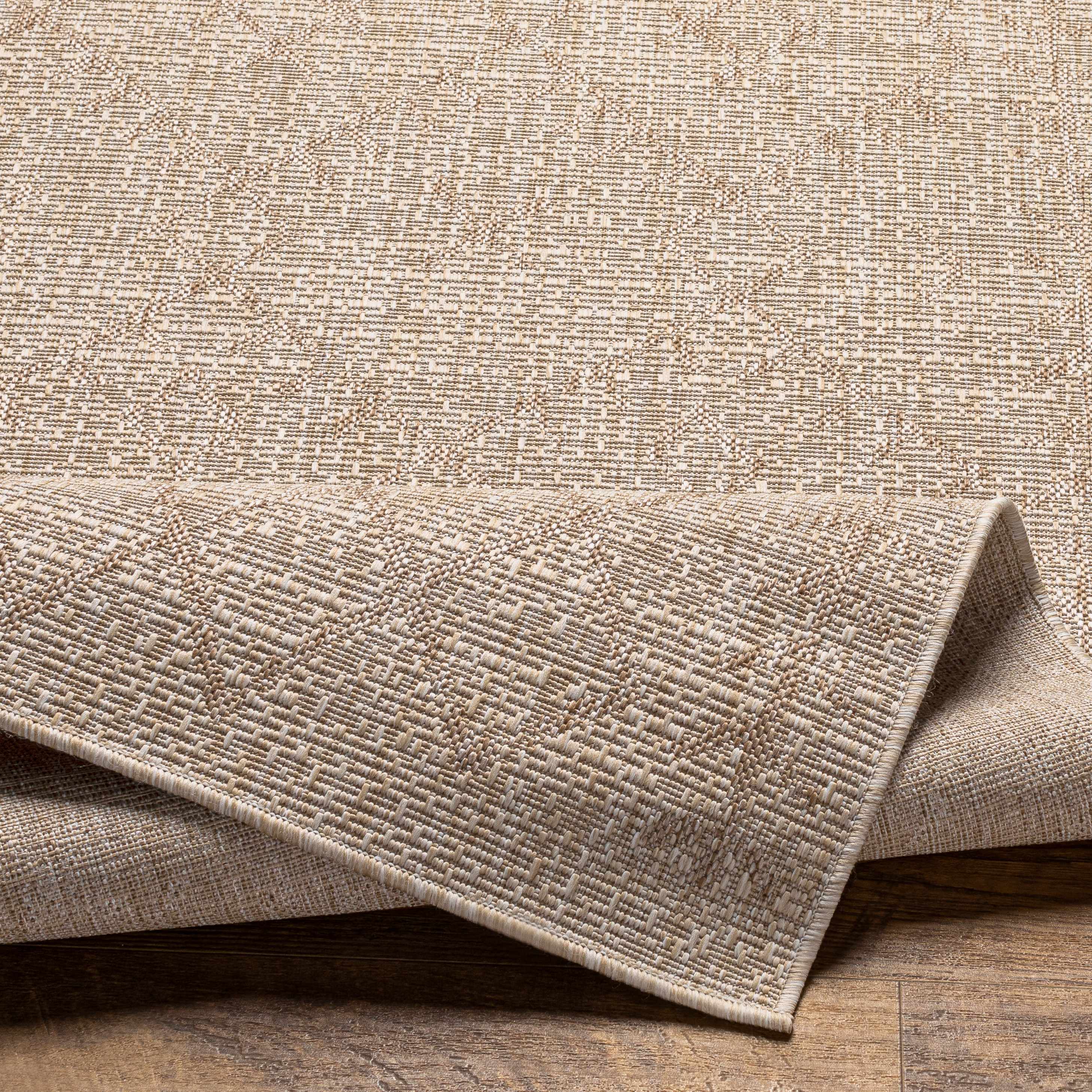 Ewarton Indoor & Outdoor Rug