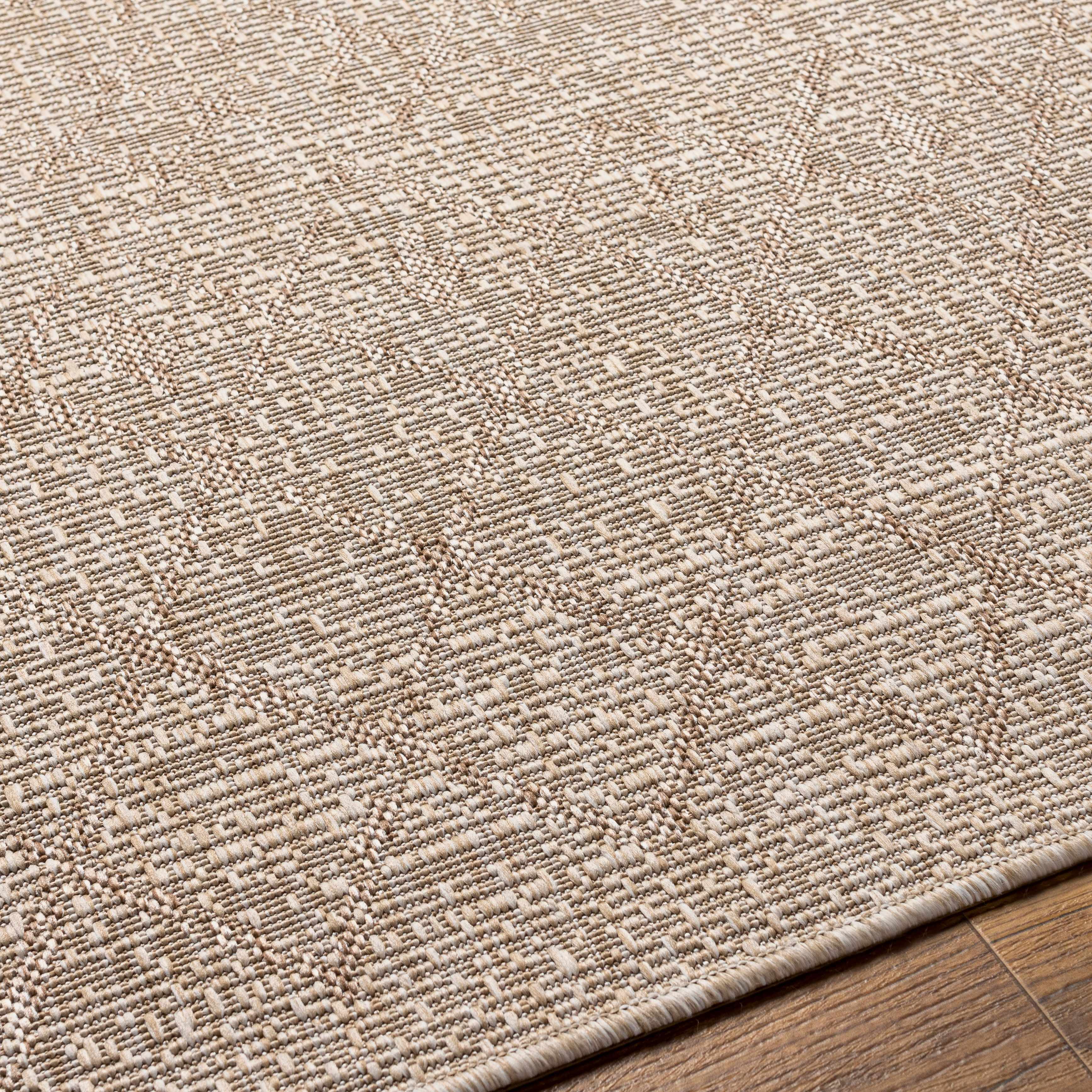 Ewarton Indoor & Outdoor Rug