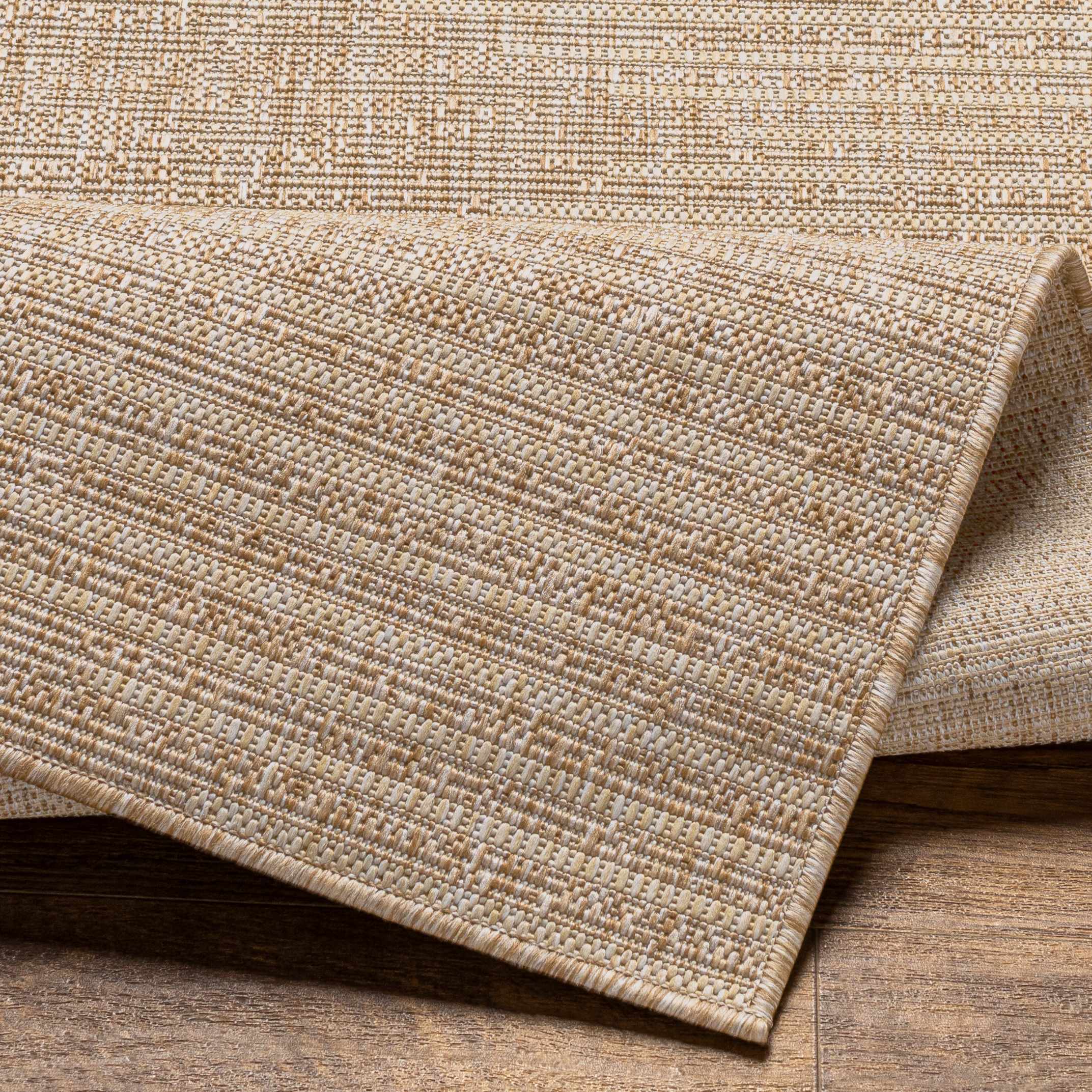 Stephan Dark Beige Indoor & Outdoor Rug