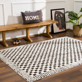 Leryn Black & White Checkered Runner Rug