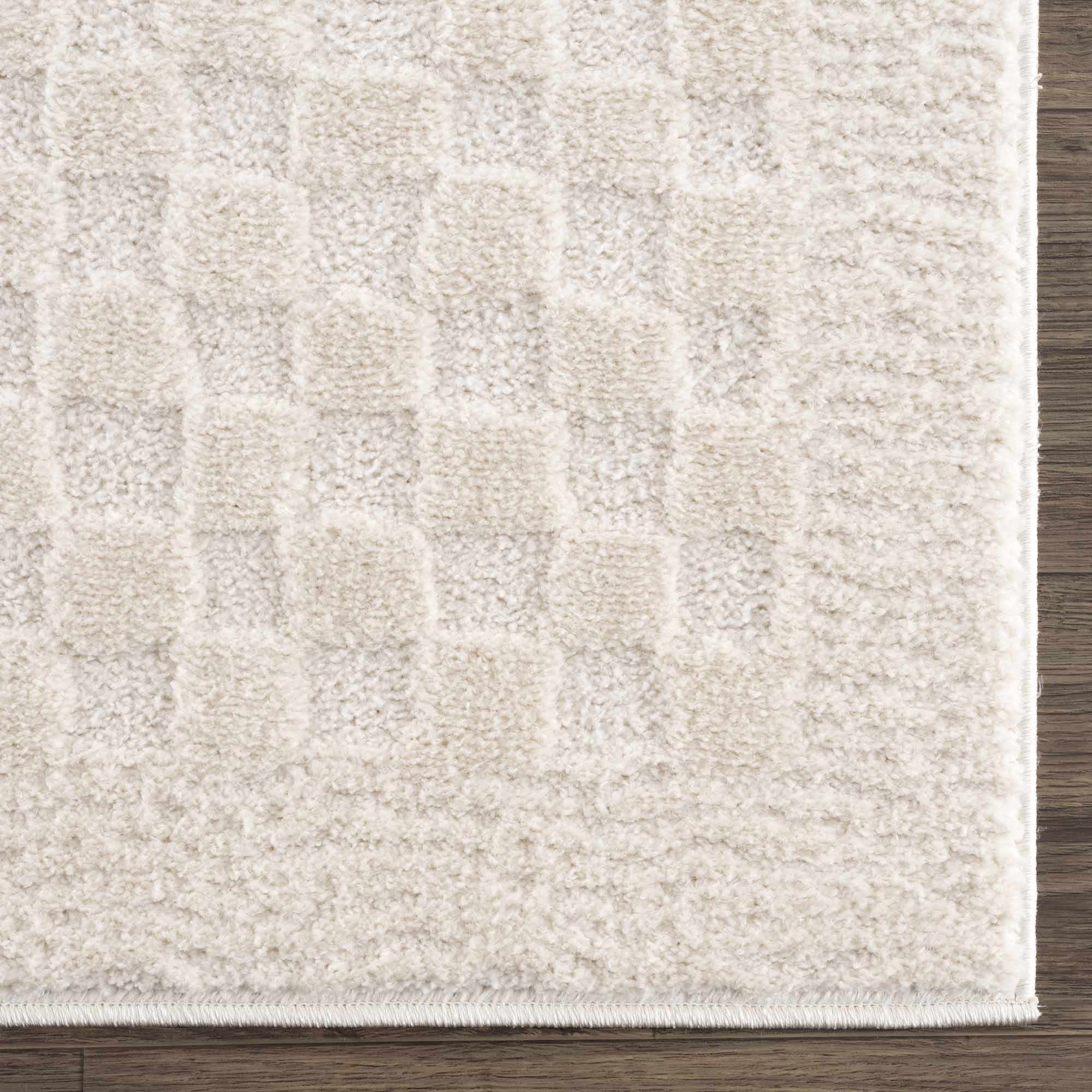 Leryn Ivory Checkered Runner Rug
