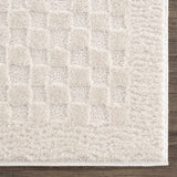 Leryn Ivory Checkered Runner Rug