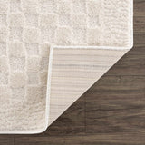 Leryn Ivory Checkered Runner Rug