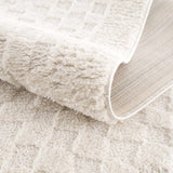 Leryn Ivory Checkered Runner Rug