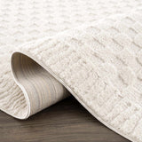 Leryn Ivory Checkered Runner Rug