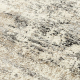 Rizzy PLC854 Runner Rug Area Rug