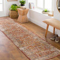 Schoeneck Runner Rug