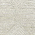 Sold Out - Rizzy SK333A Runner Rug Area Rug