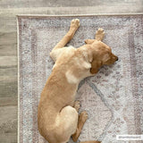 Analu Peach Washable Runner Rug