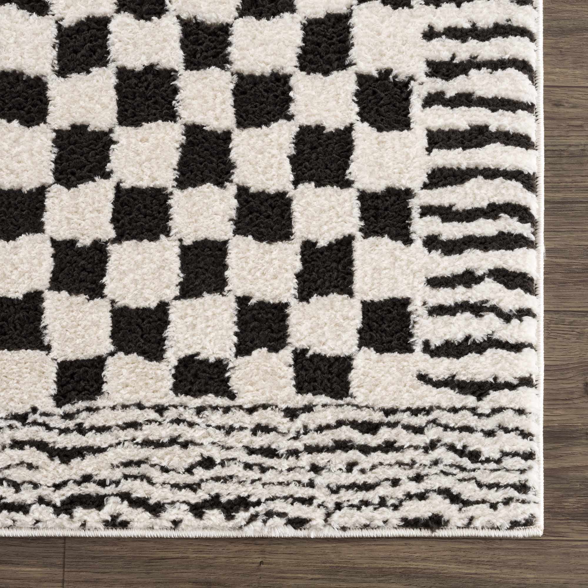 Leryn Black & White Checkered Runner Rug