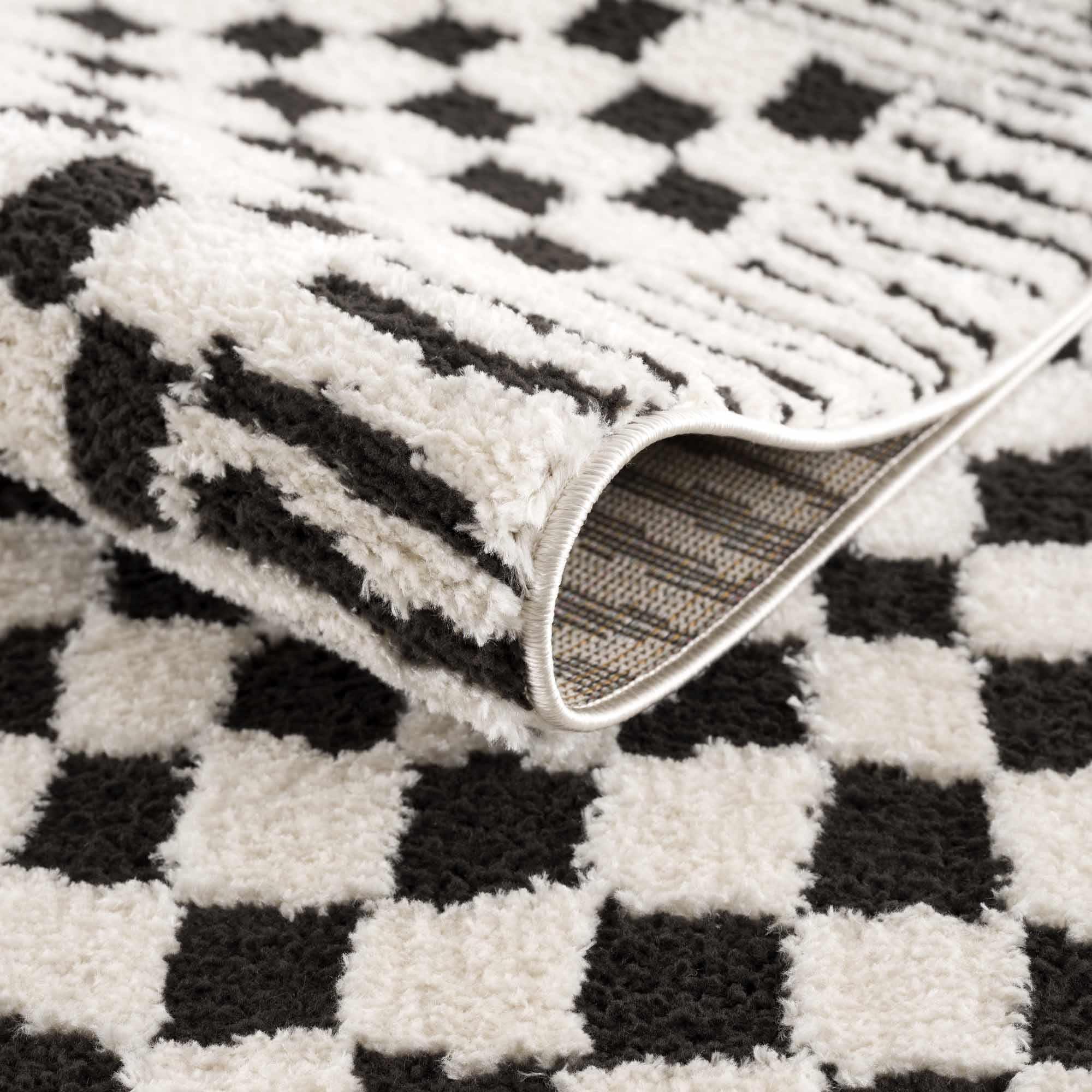 Leryn Black & White Checkered Runner Rug