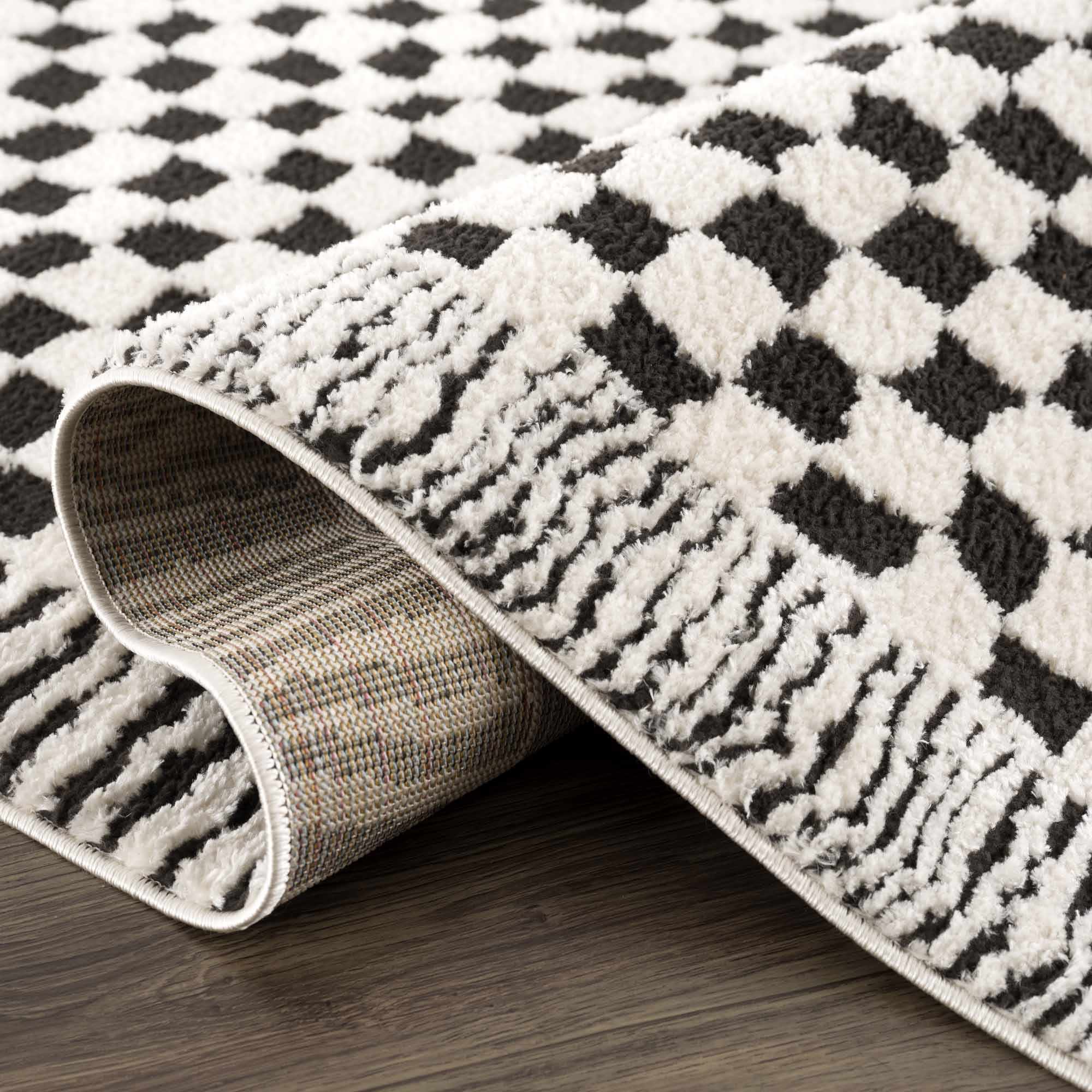 Leryn Black & White Checkered Runner Rug