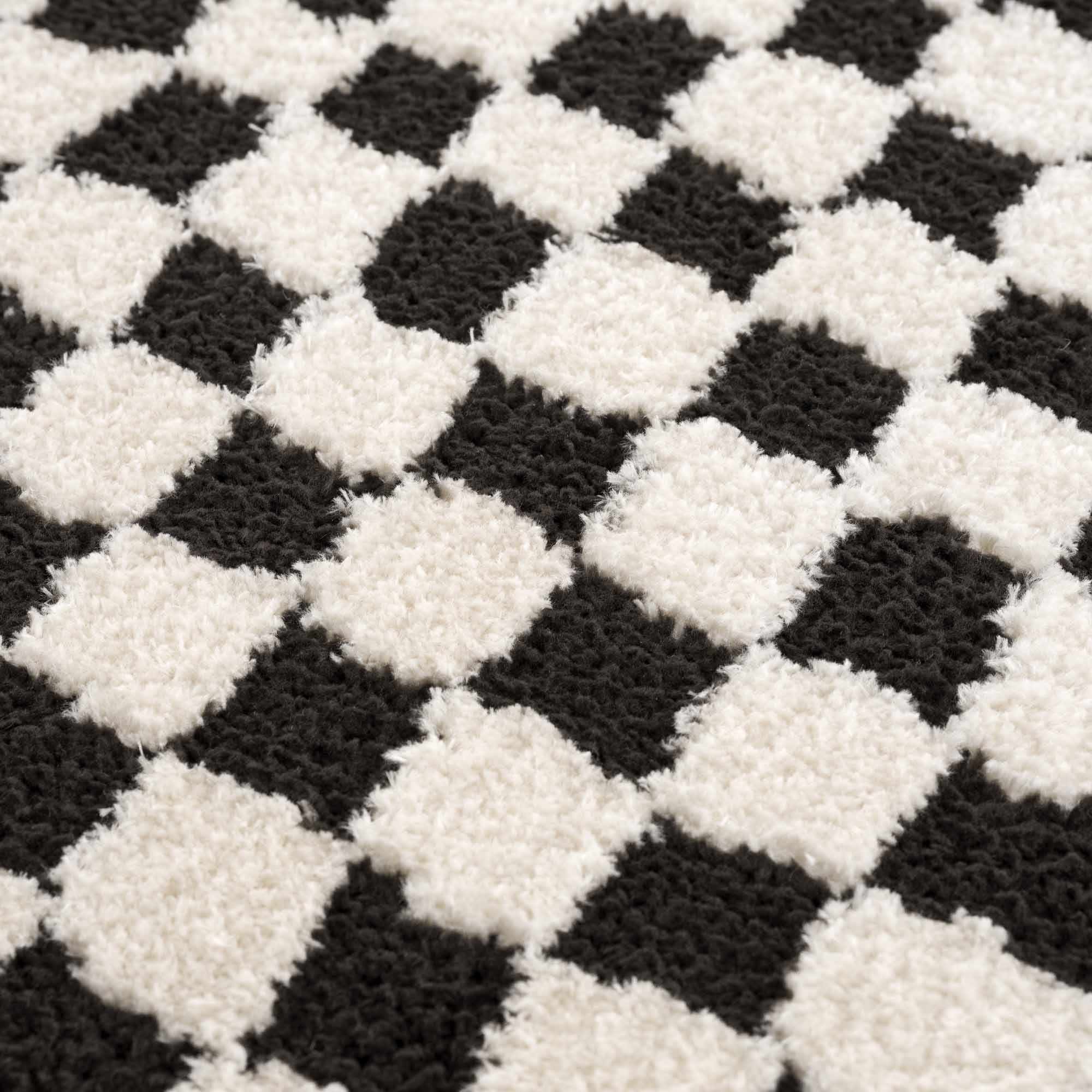 Leryn Black & White Checkered Runner Rug