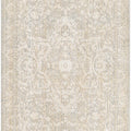 Sold Out - Buguey Beige Runner Rug