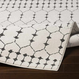 Chubbuck Runner Rug