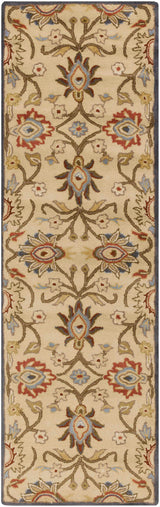 Conesus Hand Tufted Beige & Rust 1116 Runner Rug