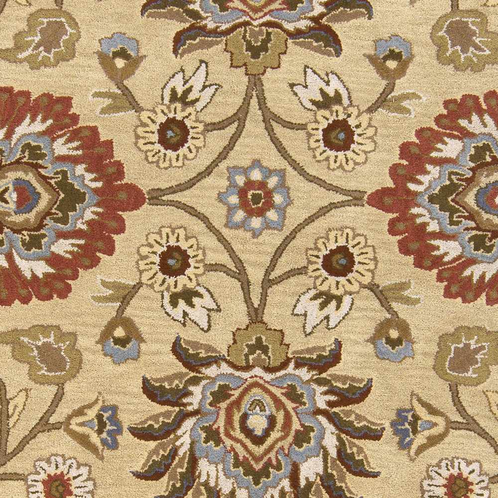 Conesus Hand Tufted Beige & Rust 1116 Runner Rug