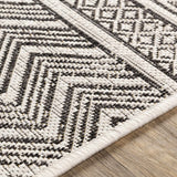 Imboden Runner Rug