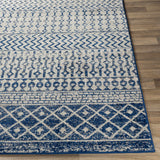 Constantin Blue Runner Rug